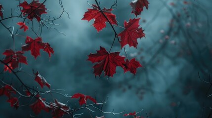 Canvas Print - Red Leaves Hanging from Tree