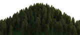 A large hill densely covered with large coniferous trees. 3D rendering.
