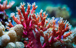 © hanifa - Closeup of corals. Generative AI.