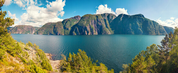 Wall Mural - View of the fjord on a sunny day. Rocky shore with frame from trees. Skomakernibba. Hjelmeland, Norway