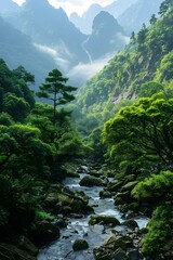 Wall Mural - Scenic River Flowing Through Forest Valley