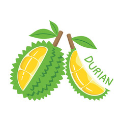 Sticker - Durian, Summer tropical of durian fruit. Durian design.