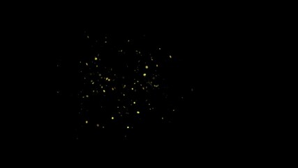 Wall Mural - 4k luxury sparkling glitter dust trail golden particles effect overlay sparkles. festival christmas,