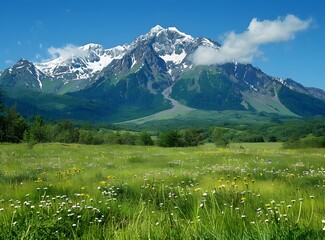 Poster - Scenic mountains and blooming flowers