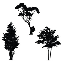 tree silhouette vector illustration
