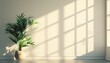 © DruZhi Art - Sunny Room Interior with Plant Near Window, Serene and Spacious Design, Banner with Copy Space