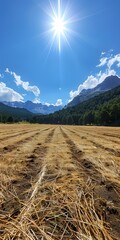 Wall Mural - Sun Shining Over a Field of Hay