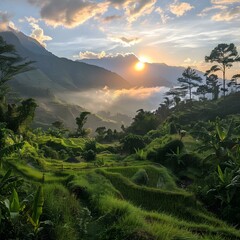 Canvas Print - Sunset over lush green rice terraces