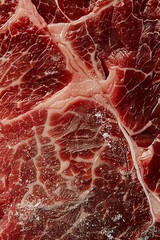 Wall Mural - A scientific photograph of a raw steak extreme close up top down view studio lighting highlighting the marbling and texture of the meat sharp focus with details of the muscle fibers and fat crisp