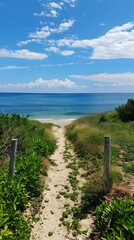 Wall Mural - Sandy path to the sea between green bushes