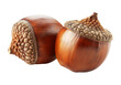 © Molin - set of two acorns on white background, cut out