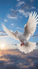 Wall Mural - a white dove flying in the sky above the clouds.