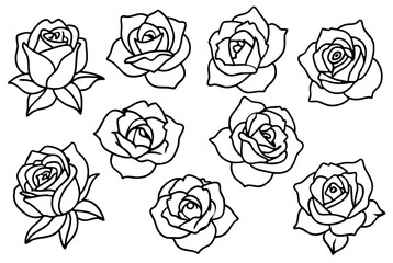 Classic rose line art design drawing illustration