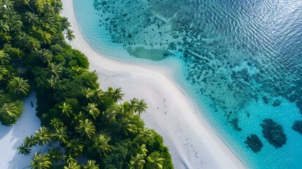 Wall Mural - Tropical island with coral reefs and snow-white image