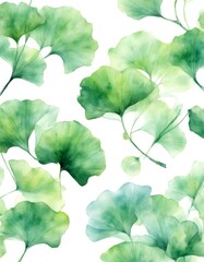 Wall Mural - and design tree background card floral transparent two abstract ginkgo watercolor hand aquarelle painted white olated realistic botanical leaves art botanic dding artwork illustration florals