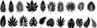 © Arafat - Tropical leaves silhouette collection for graphic design, nature, and summer concepts. tropical leaf Vector illustration with monochrome foliage