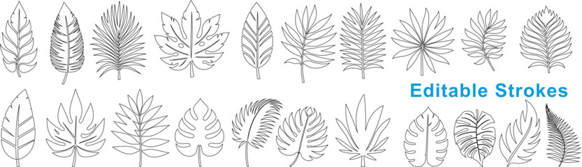 Wall Mural - botanical leaf line illustration for natural designs