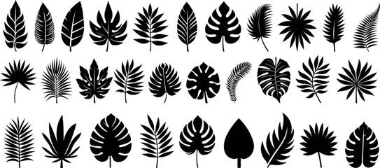 Wall Mural - leaf vector set, 30 leaves silhouette designs, tropical leaf silhouettes, botanical leaves clipart, 