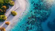 © Yelena - Maldives with coral reefs where bright corals image