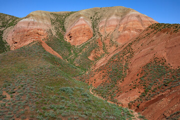 Wall Mural - The top of the Bolshoe Bogdo mountain. Astrakhan region, Russia