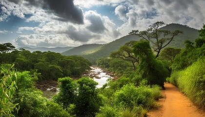 Canvas Print - jungle south africa