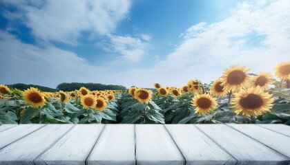 Poster - empty wooden product display table with yellow sunflowers flowers meadow field in the background and bright blue cloudy sky