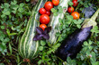 © scharfsinn86 - Homegrown vegetables on an organic domestic farm