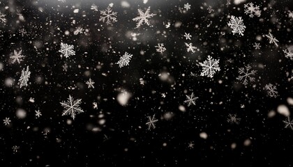 Wall Mural - falling down snowflakes over transparent background heavy snow overlay texture for design