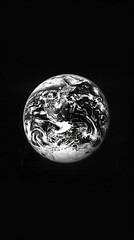 stunning black and white image of earth from space
