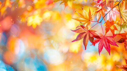 Wall Mural - vibrant autumn maple leaves with colorful bokeh background
