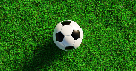 A black and white soccer ball lies on a green lawn, a concept for the European Football Cup final, 3D rendering