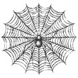 © NikahGeh - Detailed sketch of a spider sitting in the center of its web