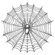 © NikahGeh - Spider sits in the center of its delicate and symmetrical web
