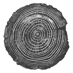 detailed illustration of a cut tree trunk with growth rings