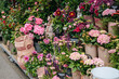 © Katrin_Primak - Colorful flowers for sale at an outdoor market