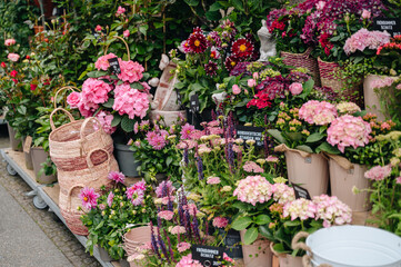 Colorful flowers for sale at an outdoor market