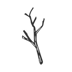 branch of a tree. vector illustration of twig. hand drawn old tree branch on isolated background