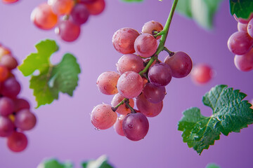 Wall Mural - Fresh Red Grapes with Water Droplets on Purple Background