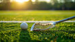 © Running opossum - Lacrosse stick and ball on a grassy field at sunset, ready for a fun game. Golden light illuminates the scene, capturing the passion and skill of athletes training for victory
