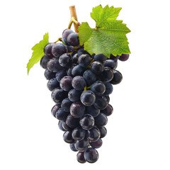 Wall Mural - bunch of grapes isolated on white