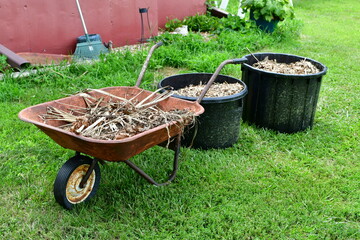 Wall Mural - Weeds in a Wheelbarrow by Garden Tubs with Mulch