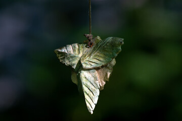 Canvas Print - butterfly on a tree