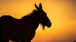 © vlntn - Silhouette of donkey on sunset sky.
