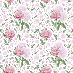  Pink peony seamless pattern on a white background.  Bouquet of peonies, hand painted watercolor texture. 