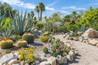 © BetterPhoto - A vibrant desert garden with various types of cacti and succulents under a bright blue sky.