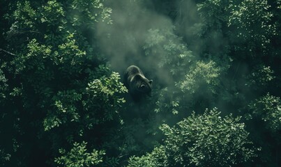 Wall Mural - Top view of a bear walking through the forest