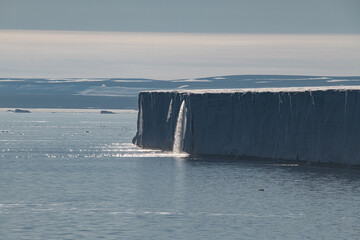 Wall Mural - Glacier in the Arctic