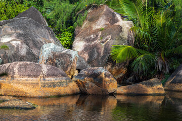 Wall Mural - Still lake coast on a sunny summer day. Landscape of Anse Lazio beach