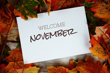 Poster - Welcome November text with maple leaf decotion top view on wooden background