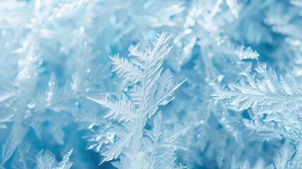 Poster - Glass background covered in frost